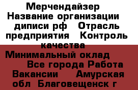 Мерчендайзер › Название организации ­ диписи.рф › Отрасль предприятия ­ Контроль качества › Минимальный оклад ­ 20 000 - Все города Работа » Вакансии   . Амурская обл.,Благовещенск г.